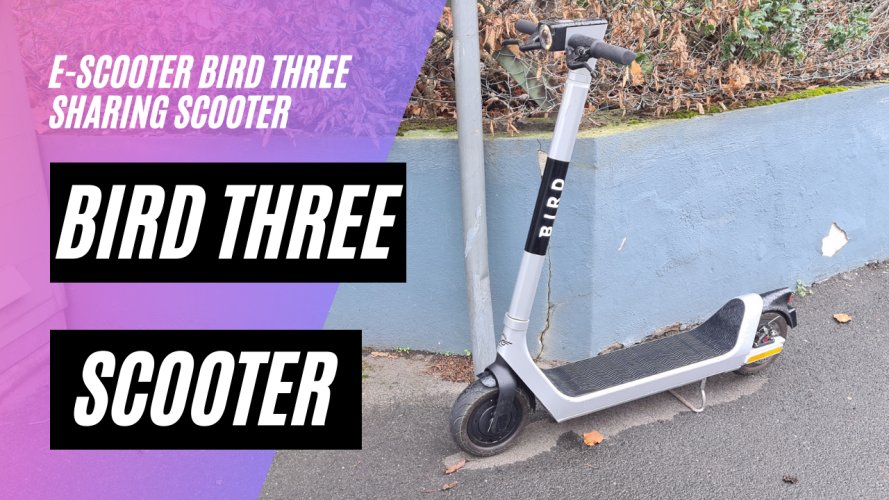 Der neue Bird Three Sharing Scooter in Köln